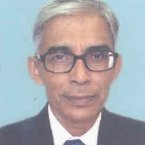 Shri Amalendu Sinha