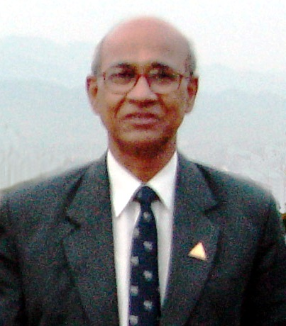 Shri Amalendu Sinha